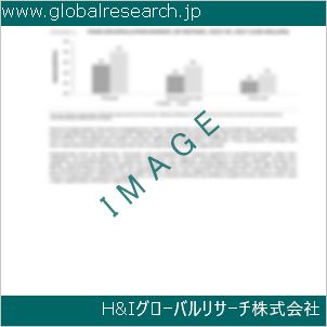グローバルリサーチ調査資料のイメージ